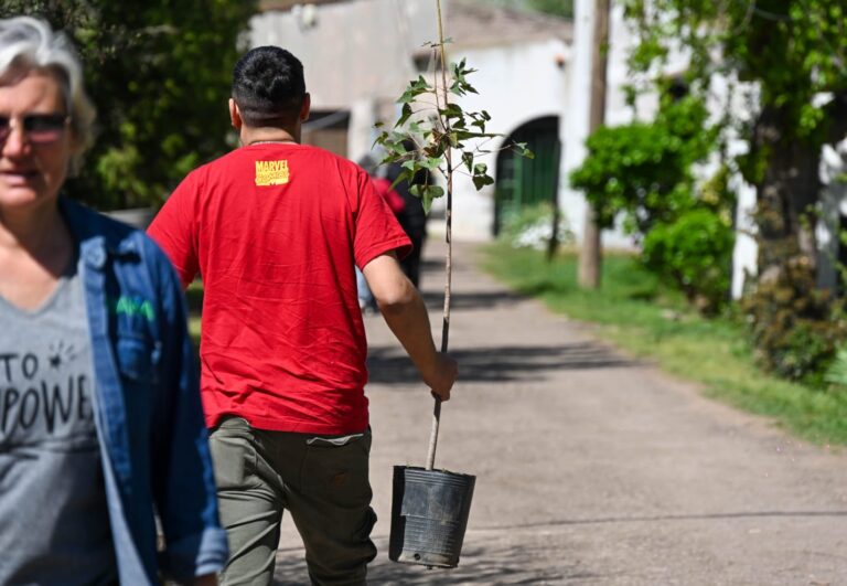 Reverdecer: El Municipio entregó árboles a instituciones de la ciudad