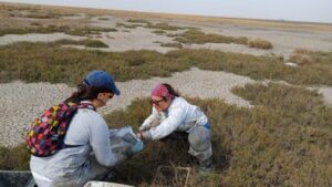 CONICET Bahía Blanca destaca con sus proyectos a nivel Nacional