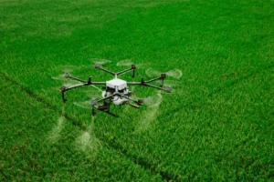 Entre Ríos: la justicia prohibió fumigar con drones por vinculación con el daño genético de niños