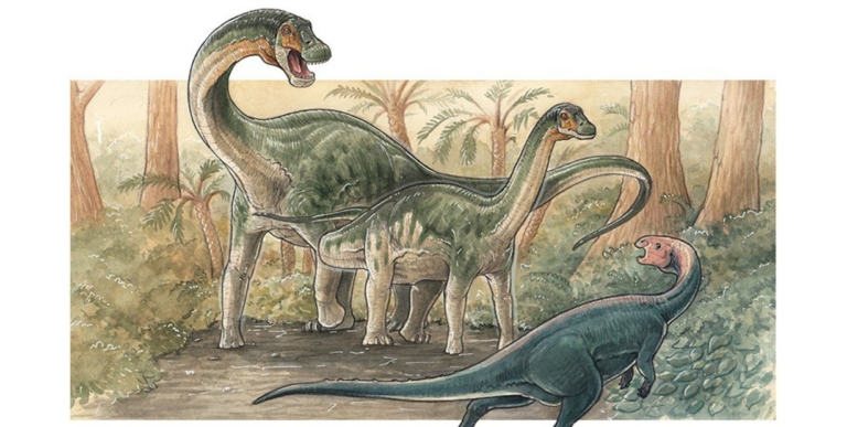 Neuquén volvió a sorprender con una nueva especie de dinosaurio