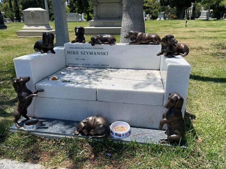 San Pablo permitirá enterrar a mascotas con sus dueños