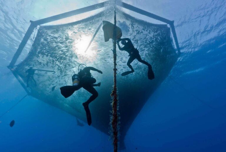 Monte Hermoso suma un hito educativo: inicia la Escuela Agraria de Pesca y Acuicultura