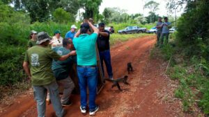 Nueve animales rescatados fueron devueltos a la selva de Misiones