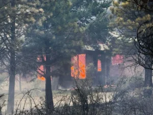 Ya son más de 100 viviendas las destruidas por los incendios en Epuyén