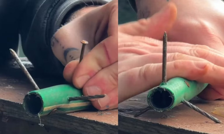 El Ministerio de Seguridad denunció a una cuenta de Instagram que enseñaba a hacer miguelitos