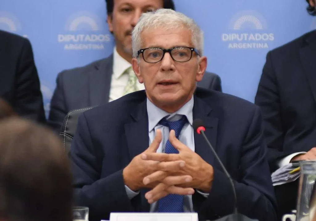 Cúneo Libarona dijo que la figura del femicidio otorga impunidad y privilegios