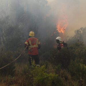 Se detectaron tres nuevos focos de incendio en el parque nacional Los Alerces
