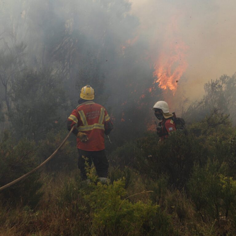 Se detectaron tres nuevos focos de incendio en el parque nacional Los Alerces