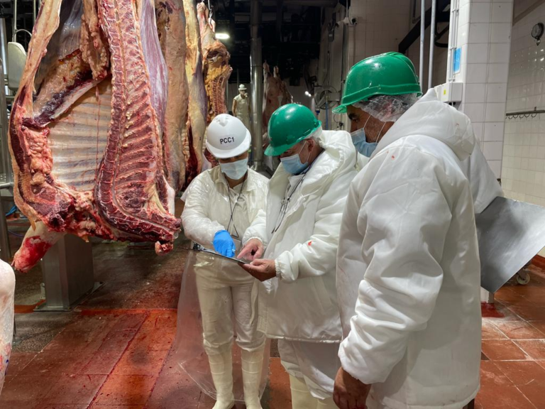 Chile suspendió las importaciones de carne argentina por riesgo sanitario