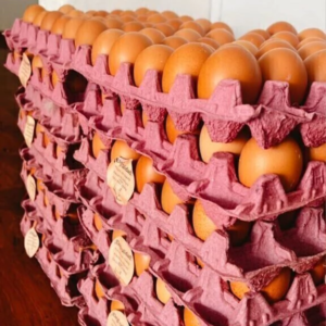 Alertan que está en riesgo el 95% de la producción de huevos en Argentina