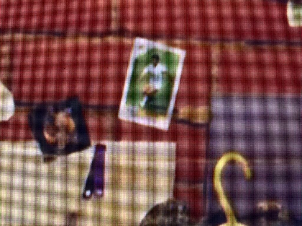 El guiño que nadie esperaba: Harry Potter es fanático del Diego en la nueva serie