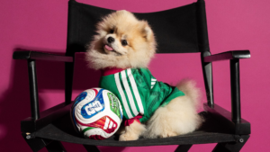 ¿Tu perro mira el Mundial con vos?: Adidas sacó una colección ideal para él