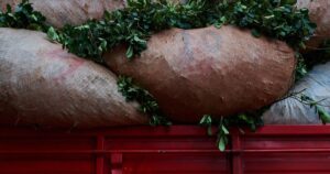 Yerbateros realizan cortes de rutas y culpan al estado por la crisis