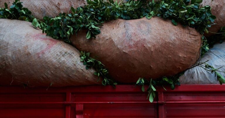 Yerbateros realizan cortes de rutas y culpan al estado por la crisis