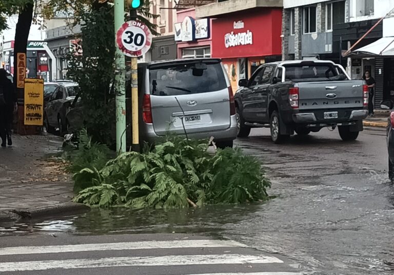 Suspenden las clases en todos los niveles para Bahía Blanca por la alerta naranja