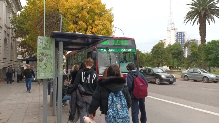 Se reveló para qué usaron las billeteras virtuales los viajes gratis en transporte