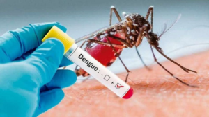 Científicos del Conicet podrían frenar los virus del dengue, Zika y fiebre amarilla