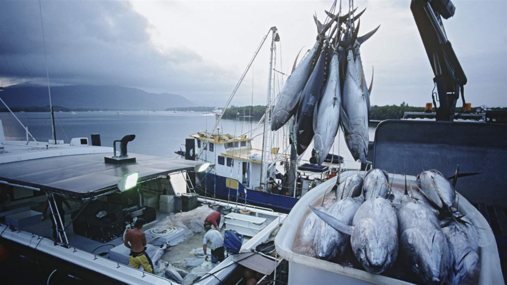 Proponen una ley para agravar las penas por pesca ilegal con cárcel y multas millonarias