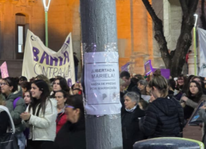 El diputado Castillo presentó un proyecto para exigir la inmediata libertad de Mariela Angunin