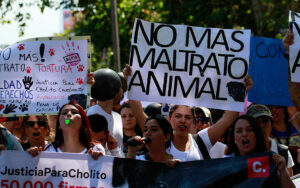 Convocan a una marcha en defensa de los animales en Plaza Rivadavia