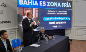 Bahía activa la vía judicial mientras el Senado se prepara para tratar la Zona Fría