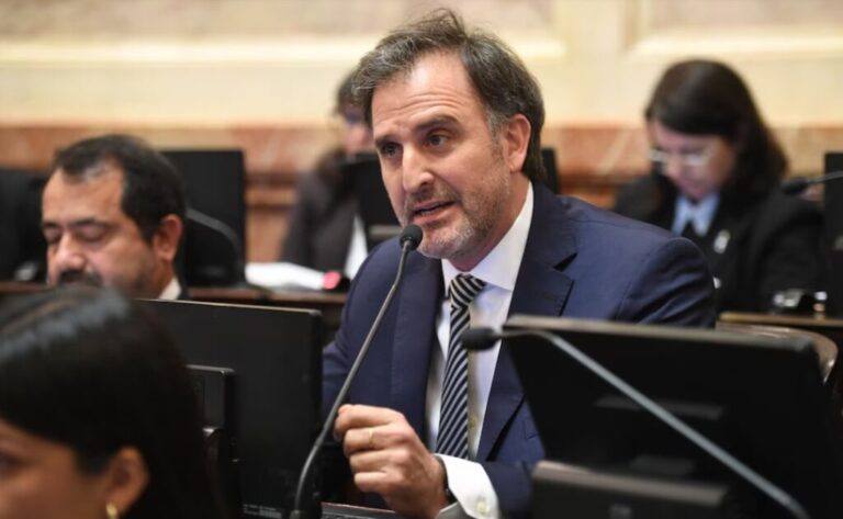 Benegas Lynch admitió ser titular de Glocal Terra pero negó conflicto de interés con la Ley de Tierras