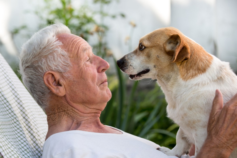 Un proyecto busca que haya animales de compañía en geriátricos