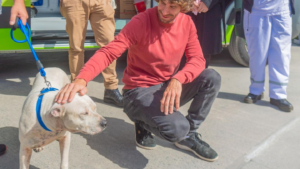 San Fernando dice basta al comercio de animales