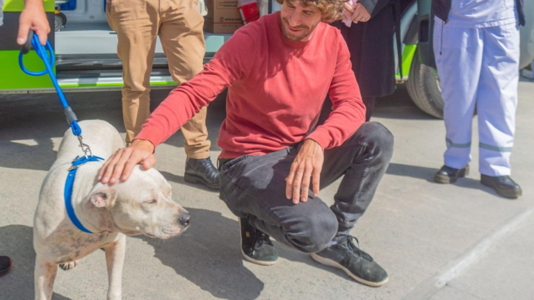 San Fernando dice basta al comercio de animales