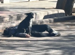 Mendoza: la policía intentó acercarse pero su perro lo defendió