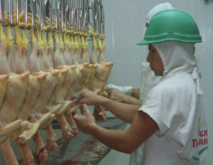 Ola de despidos en Granja Tres Arroyos: en 2 días desvinculó a mil trabajadores