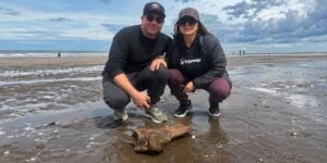 Dos bahienses encontraron un fósil en Monte Hermoso